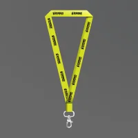 Lanyard